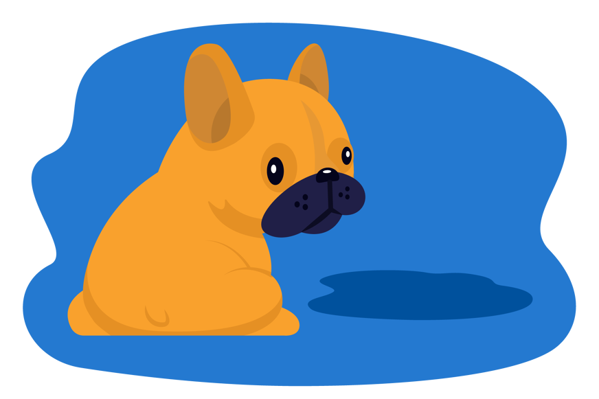 dog looking sad about peeing